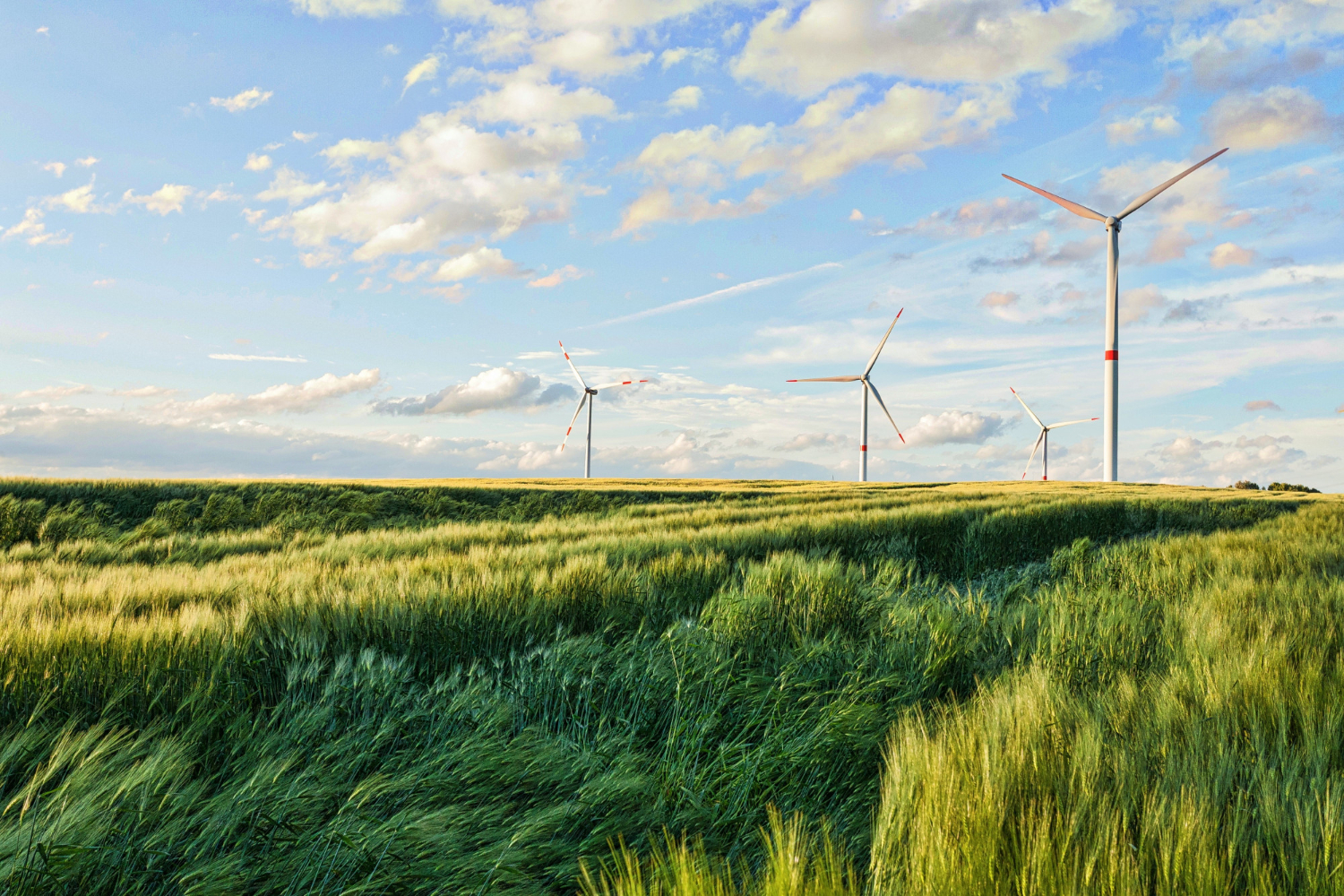 Agricultural Processing Infrastructure
